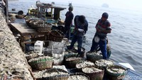 Nelayan yang pulang melaut merapat ke TPI Cilincing.