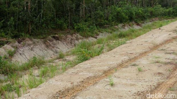 Penampakan jalan Trans Papua Rusak