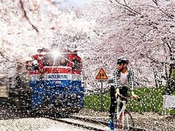 Karya Kocak Pakar Photoshop yang Wujudkan Semua Permintaan (II)