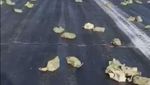 Penampakan Emas 3 Ton yang Jatuh dari Langit Rusia