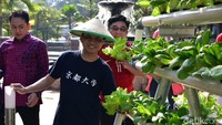 Dalam panen tersebut sekjen kemendesa, PDT dan trans berharap agar panen ini bisa ditularkan ke berbagai desa untuk dapat memanen produk unggulan desanya.