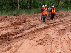 Dear Pak Jokowi, Jalan Trans Papua Rusak Nih