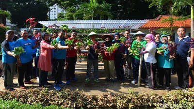Kemendes Panen Tanaman Hidroponik