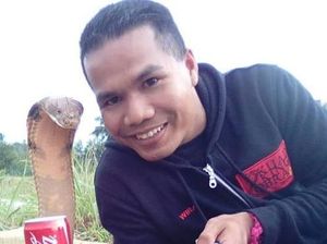 Artis Pawang Ular dari Malaysia Tewas Digigit Kobra