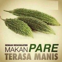Pare memang rasanya pahit, tapi kalau makannya sambil ingat kamu, rasanya jadi manis. Foto: Istimewa