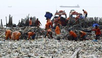 Para petugas membersihkan tumpukan sampah di pinggir laut.