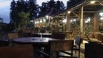 Serunya! Ngopi Santai Sambil Memandang Sawah Menghijau di Sini