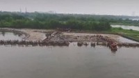 Nanti ada empat kapal fiber kapal kecil tapi itu memuat sampah jadi sampah ini dibawa ke kapal dan dipindah ke truk yang ada di pinggir dermaga, ucap Yusen.