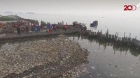 Sampah yang terkumpul diangkut dengan kapal fiber menuju ke pinggil dermaga Kali Adem.