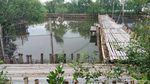 Ada yang Cantik di Balik Lautan Sampah di Teluk Jakarta