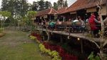 Serunya! Ngopi Santai Sambil Memandang Sawah Menghijau di Sini
