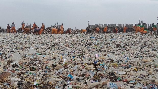 Lautan Sampah di Teluk Muara Angke Mulai Dibersihkan