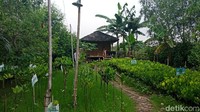 Tumpukan sampah mengotori Teluk Jakarta, Muara Angke, Jakarta Utara. Tak jauh dari lokasi tersebut, ada kawasan hijau yang ditanami pohon bakau (mangrove).