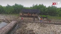Pantauan detikcom pukul 09.00 WIB, Sabtu (17/3/2018), para petugas memulai menyingkirkan tumpukan sampah di pinggir laut.