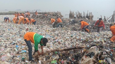 Foto: Berjibaku Gempur Sampah di Teluk Jakarta