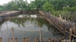 Ada yang Cantik di Balik Lautan Sampah di Teluk Jakarta