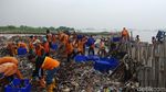 Before After Lautan Sampah Teluk Jakarta yang Sedang Dibersihkan