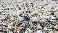 Pasukan orange bergotong royong bersihkan sampah.