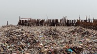 Kepala Seksi Pengendalian Dampak Lingkungan dan Kebersihan, Sudin LH Kepulauan Seribu, Ari Wibowo mengatakan saat ini sudah terangkut sekitar 16 ton sampah. Sampah tersebut diangkut menggunakan empat kapal fiber ke dermaga Kali Adem, Muara Angke.