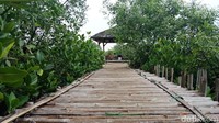 Saat memasuki kawasan mangrove lebih dalam, ada 3 saung kecil dan rumah edukasi.