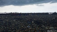 Setelah rampung dibersihkan, lokasi yang sebelumnya dipenuhi tumpukan sampah di Teluk Jakarta akan ditanami pohon bakau. 
