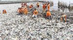 Pasukan Oranye Gotong Royong Bersihkan Lautan Sampah