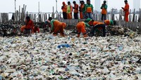 Kasudin Lingkungan Hidup (LH) Kepulauan Seribu Yusen Hardiman menjelaskan sampah berkerumun di lokasi karena terbawa rob dan angin darat.