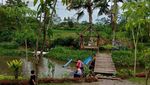Serunya! Ngopi Santai Sambil Memandang Sawah Menghijau di Sini