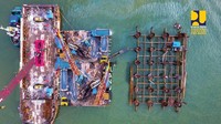Saat ini, progres pembangunan fisik jembatan telah mencapai 34,80% dan ditargetkan selesai pada tahun 2019. Pembangunan jembatan Teluk Kendari diharapkan dapat selesai tepat waktu sehingga memberi dampak positif bagi perekonomian masyarakat Sulawesi Tenggara.Foto: Dok. Ditjen Bina Marga Kementerian PUPR