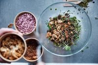<i>Swedish Meatball</i> dari IKEA Akan Dibuat dari Cacing <i>Mealworm</i>