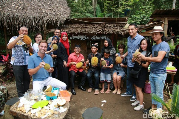 Kampung Durian memang dikhususkan untuk memperkenalkan durian Banyuwangi. Animo pengunjung pun cukup besar. Mereka antusias dengan destinasi ini. (Ardian/detikTravel) Kampung Durian memang dikhususkan untuk memperkenalkan durian Banyuwangi. Animo pengunjung pun cukup besar. Mereka antusias dengan destinasi ini. (Ardian/detikTravel)