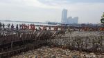 Potret Sampah di Teluk Jakarta yang Bak Pulau Reklamasi