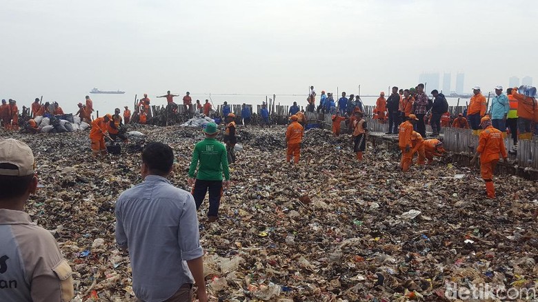 Pembersihan Sampah di Teluk Jakarta Ditargetkan Selesai 1 Pekan Pembersihan Sampah di Teluk Jakarta Ditargetkan Selesai 1 Pekan
