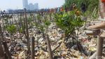 Aksi Anies dan Pasukan Oranye Pungut Sampah Teluk Jakarta