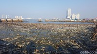 Sebelumnya disebutkan kedalaman sampah itu mencapai 3 meter (Foto: Zunita Amalia Putri/detikcom)