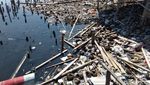 Foto: Pantai Marunda yang Penuh Sampah