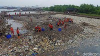 Dari pantauan detikcom, Minggu (18/3/2018) pukul 09.30 WIB, tampak petugas Suku Dinas Lingkungan Hidup Kepulauan Seribu dan Jakarta Utara sudah mulai mengangkut sampah di kawasan hutan mangrove Ecomarine.