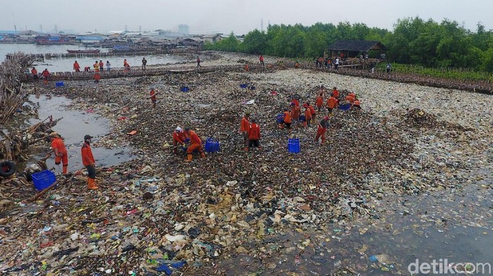 Cegah Sampah Kawasan Mangrove Teluk Jakarta Akan Dipagari Jaring 6111