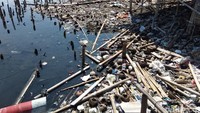 Tak hanya di Penjaringan, Jakarta Utara, sampah-sampah berserakan juga ditemukan di Pantai Marunda, Cilincing, Jakarta Utara (Foto: Yulida Medistiara/detikcom)