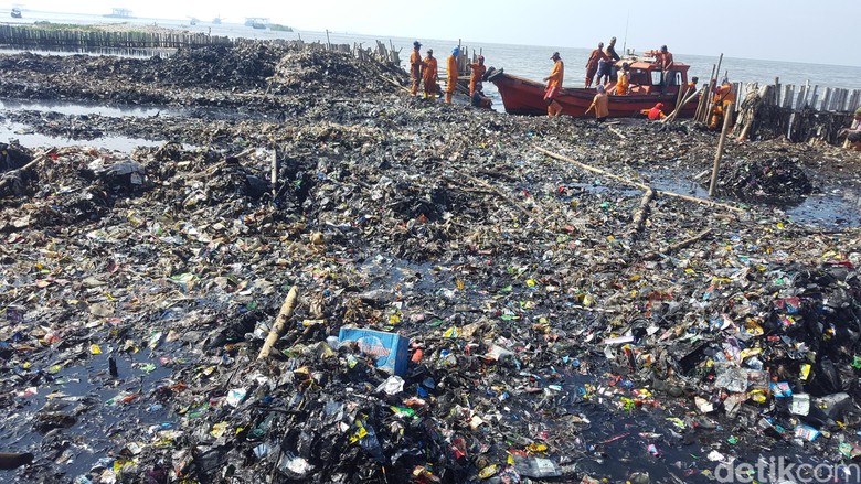 Petugas Angkut 85 Ton Sampah dari Teluk Jakarta Selama 4 Hari Petugas Angkut 85 Ton Sampah dari Teluk Jakarta Selama 4 Hari