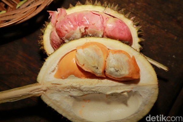 Traveler mesti mencicipi durian bakar. Rasanya dijamin beda. Kadar air buah durian berkurang sehingga rasanya lebih legit dan kesat. (Ardian/detikTravel) Traveler mesti mencicipi durian bakar. Rasanya dijamin beda. Kadar air buah durian berkurang sehingga rasanya lebih legit dan kesat. (Ardian/detikTravel)