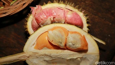 Kamu yang Suka Durian Harus ke Sini, Nggak Nyesel!