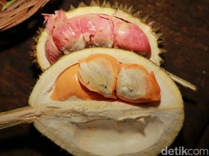 Ketika Bau Durian Busuk Disangka Kebocoran Gas Beracun
