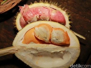 Ketika Bau Durian Busuk Disangka Kebocoran Gas Beracun