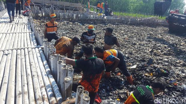Hasil 2 Hari Pengerukan Lautan Sampah di Teluk Jakarta