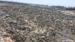 Foto: Sampah di Teluk Jakarta Kini Campur Lumpur