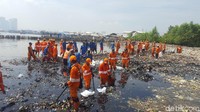 Pembersihan sampah itu dilakukan pada Sabtu (17/3) dan berlanjut hari ini (Foto: Zunita Amalia Putri/detikcom)
