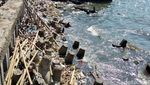 Foto: Pantai Marunda yang Penuh Sampah