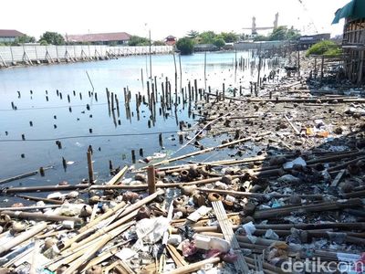 Foto: Pantai Marunda yang Penuh Sampah