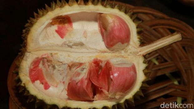 Traveler Pecinta Durian Wajib Liburan ke Banyuwangi! Ini Alasannya..